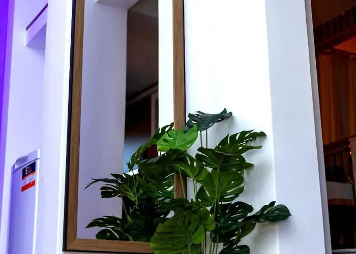 Coco's شقة بوخارست